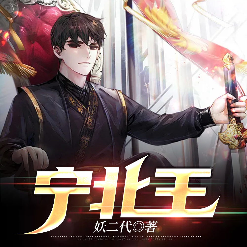 宁北王