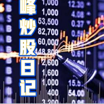 林峰炒股日记