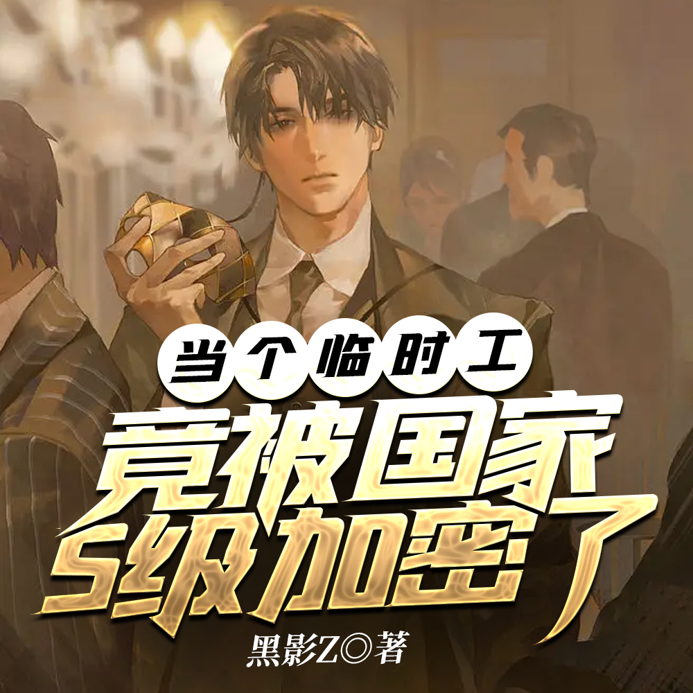 当个临时工,竟被国家S级加密了