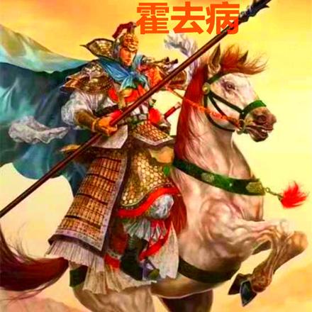 我辛弃疾来大汉,平西域,娶钩弋