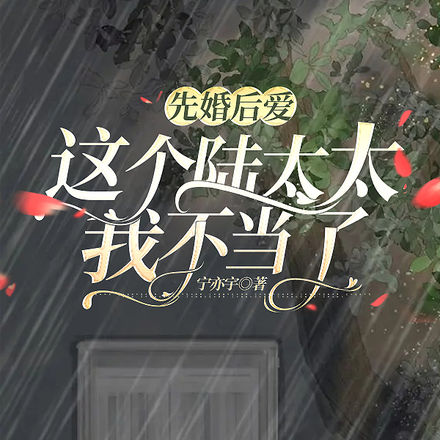 追妻火葬场，高冷陆总成舔狗