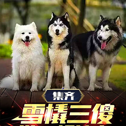 集齐雪橇三傻,觉醒超能力