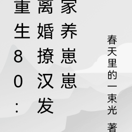 重生80:离婚撩汉发家养崽崽