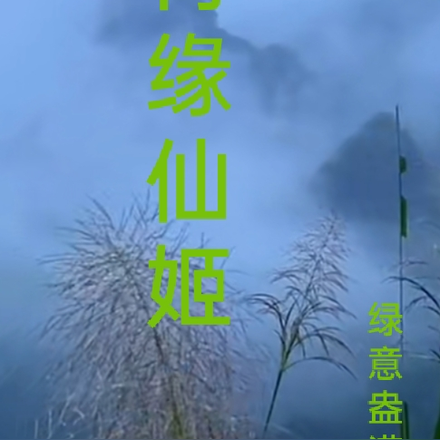 穿越异世福女修仙记3