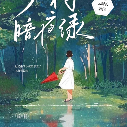 乡村暗夜绿