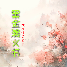 黑金演义书