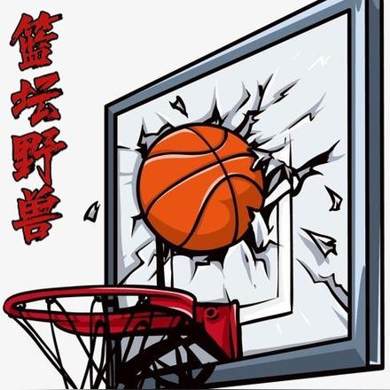 NBA野兽中锋