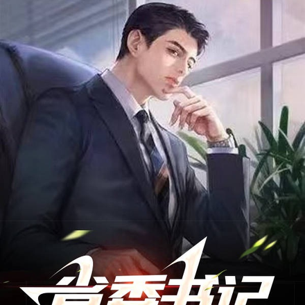 省委书记的女婿