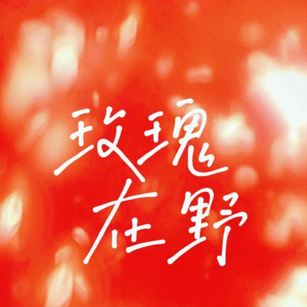 玫瑰在野
