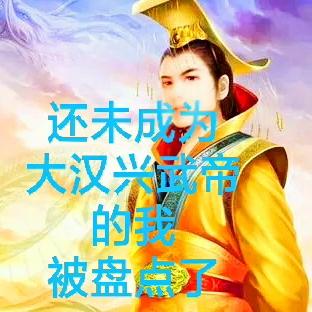 还未成为大汉兴武帝的我被盘点了