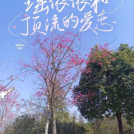 瑶依依和顶流的爱恋