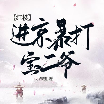 红楼:进京暴打宝二爷