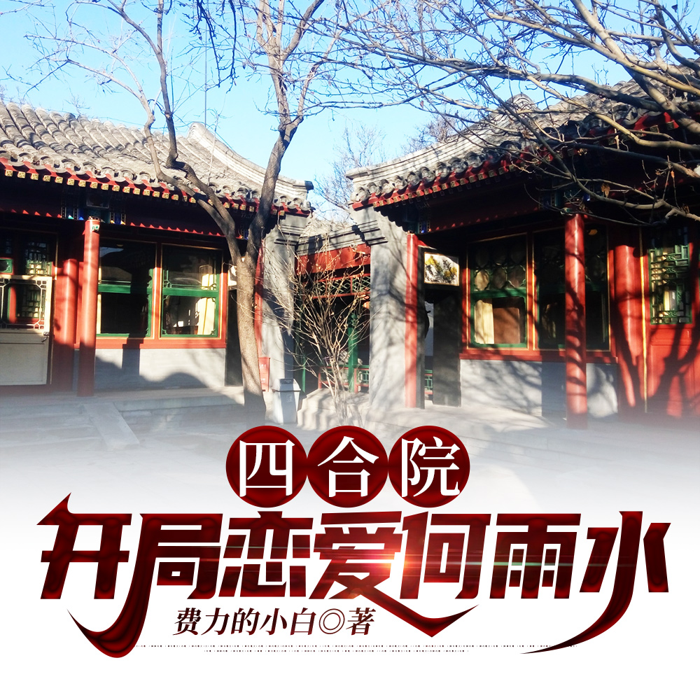 四合院:开局恋爱何雨水