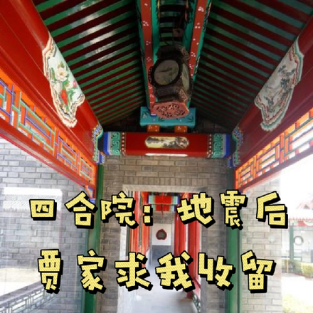 四合院:地震后,贾家求我收留