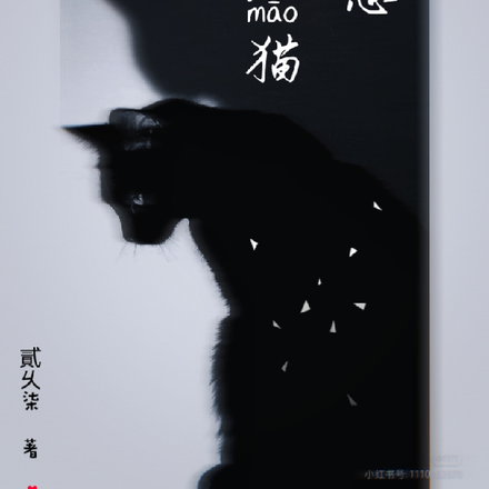 黑猫禁忌