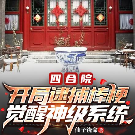 四合院:开局逮捕棒梗,觉醒神级系统