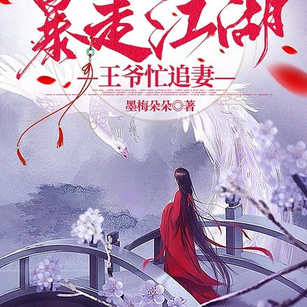 冷面王爷，江湖妃