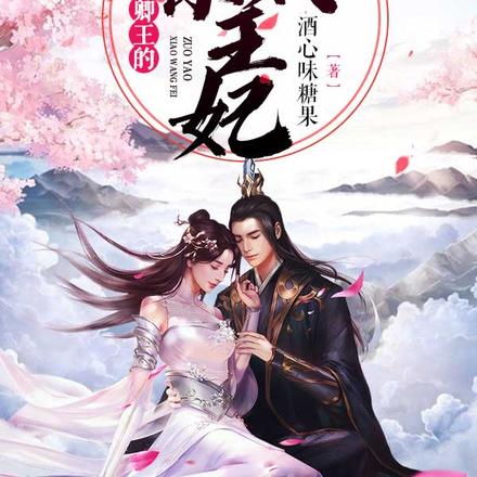 圣卿王的作妖小王妃