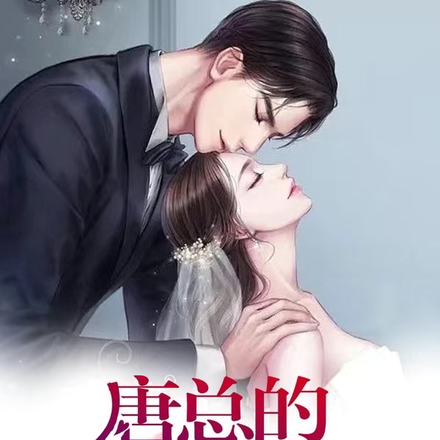 唐总的闪婚对象