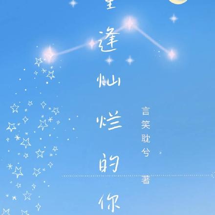 重逢灿烂的你