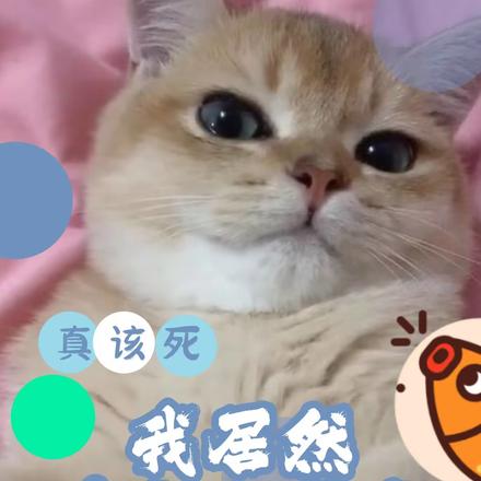真该死!我居然爱上一条鱼