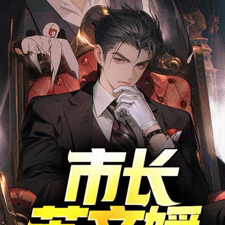 我和女市长那些事儿