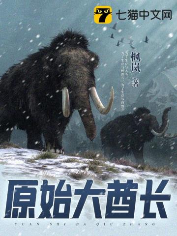 原始大领主视频