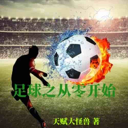 足球之从零开始