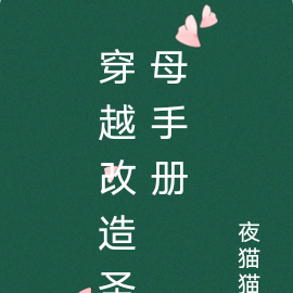 穿越改造圣母手册