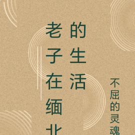 老子在缅北的生活
