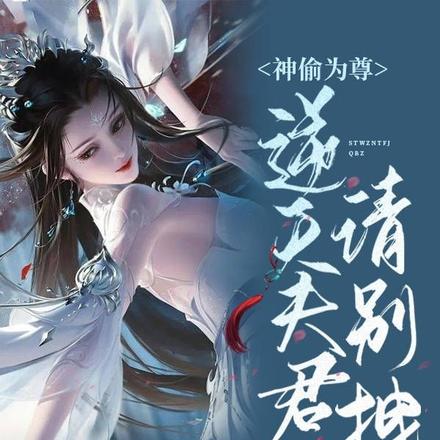 神偷为尊:逆天夫君,请别拽