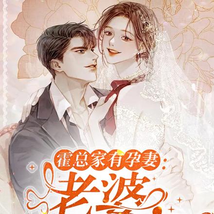 进错房,怀对崽:闪婚霍总宠不休