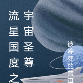 流星国度之宇宙圣尊