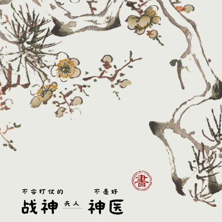 不会打仗的战神夫人，不是好神医
