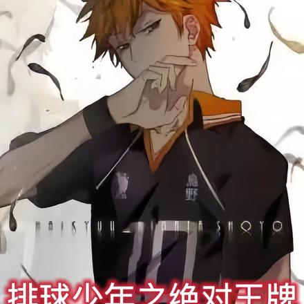 排球少年之绝对王牌