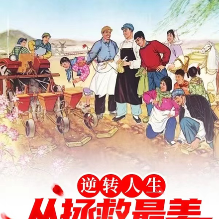 重生：我要娶最美知青