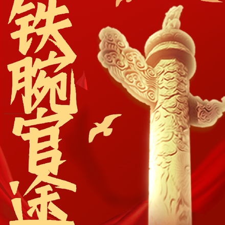 铁腕官途