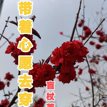 带着心愿去穿越
