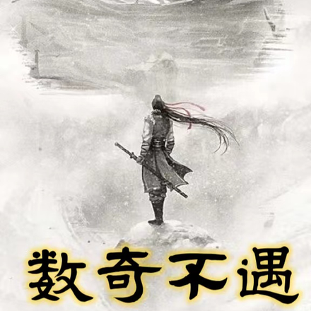 数奇不遇是什么意思