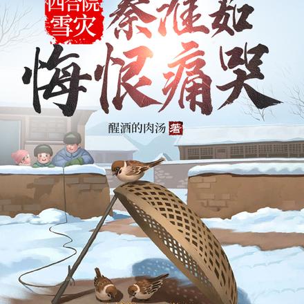 冰封四合院:我爆囤物资造安全屋