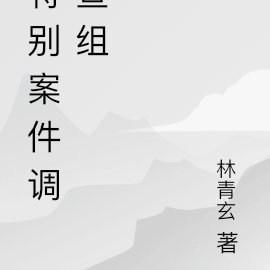 特别案件调查组