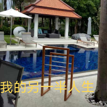 被调换的另一半人生
