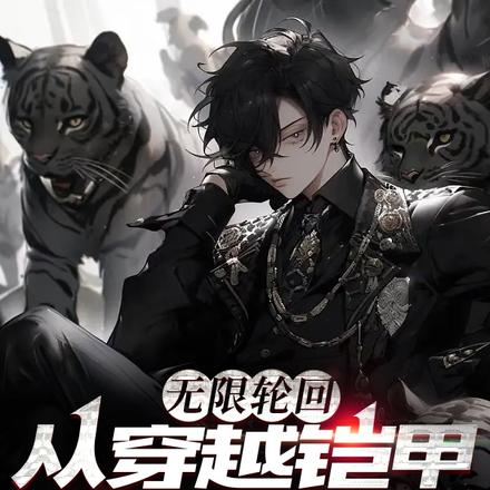 无限轮回：从穿越铠甲世界开始！