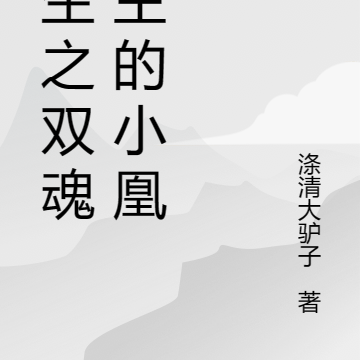 重生之双魂城主的小凰女