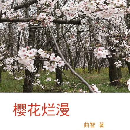 樱花烂漫