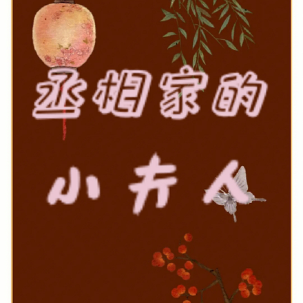 丞相家的小夫人