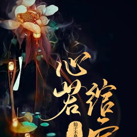 心若绾宸