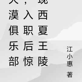 大漠俱乐部，入职后惊现西夏王陵