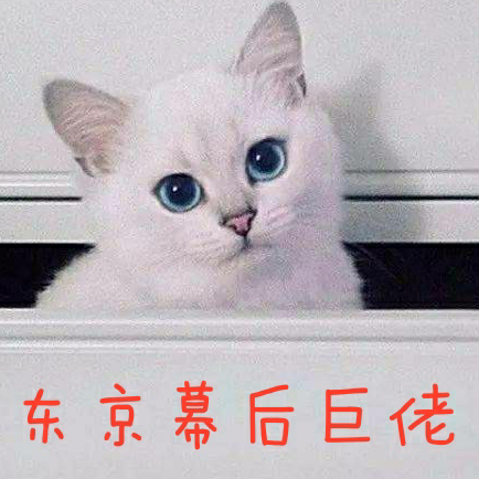 东京幕后巨佬