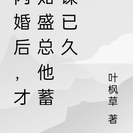 闪婚后，才知盛总他蓄谋已久